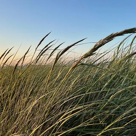 I 格拉尔-米里茨