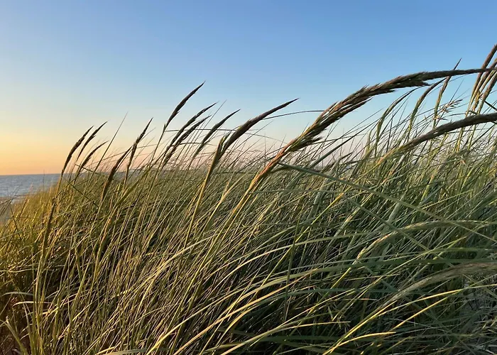 I 格拉尔-米里茨